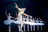 History of Swan Lake by Tchaikovsky