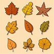 Premium Vector | Autumn leaves collection cartoon illustration