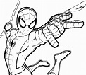 Dibujos de Spiderman para colorear. Imprimir superhéroe en línea
