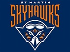 Tennessee Martin Skyhawks | College logo, Sports art, Sports logo