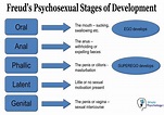 Freud's Stages of Human Development: 5 Psychosexual Stages