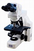 Nikon Eclipse E400 Microscope | Fully Serviced w/ Warranty – Microscope ...