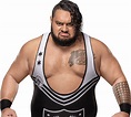 BRONSON REED - WRESTLING BIO - WWE RAW ROSTER