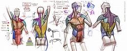 23+ michael hampton anatomy - NaginSinead