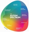 What is Autism? — Autism Q & A, Blog, Caregivers — AutismBC