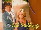 Watch Silk Stalkings | Prime Video