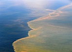 The Deepwater Horizon oil spill was 8 years ago. The ocean is still ...