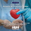 Día Mundial del Donante de Órganos y Tejidos