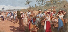 Historia de Costa Rica: Periodos, independencia, bandera, y mucho más.