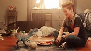 The Adventures Of Jurassic Pet (2020) - Original Trailer (HD) - YouTube