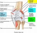 ACL Injury - Symptoms, Acl Injury Test, Treatment & Recovery Time