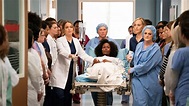 Grey's Anatomy Season 15 Episode 19 - TinklePad
