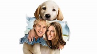 51 Best Pictures Marley And Me Movie Summary - Movie Review - Marley ...