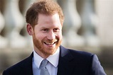 Prince Harry Starts His New Life at a Summit for Sustainability ...