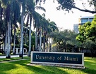 Bachelor Of Arts University Of Miami - INFOLEARNERS