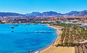 Sinai peninsula boasts perfect sand beaches, multiple diving areas ...