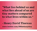 Henry David Thoreau in 2021 | Powerful quotes, Henry david thoreau, Thoreau