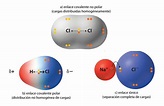 Enlace covalente polar: Definición y ejemplos - Curiosoando