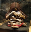Inca mummies