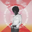 STEVE ARRINGTON / DOWN TO THE LOWEST TERMS : THE SOUL SESSIONS (LP ...