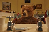 Mira el tráiler de la película del oso Paddington | Noticias | Agencia ...