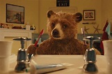 Mira el tráiler de la película del oso Paddington | Noticias | Agencia ...