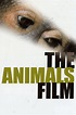 The Animals Film (película 1981) - Tráiler. resumen, reparto y dónde ...