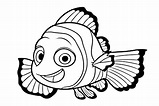 Pinto Dibujos: Nemo para colorear