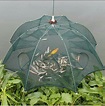 Trampa para peces | All fish, Fish, Patio umbrella lights