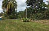 Fyzabad Village, Fyzabad - Trinidad - Propsnoop.com