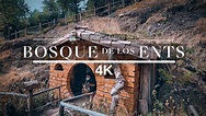 EL BOSQUE de los ENTS, Un lugar de fantasía en CUSCO...!! - YouTube