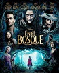 En el Bosque (2014) DVD Subtitulada - Pelis Now