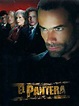 El pantera - Serie 2007 - SensaCine.com