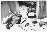 The corpses of prisoners killed just prior to the evacuation of ...