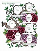 English Rose Family Picture Chart from profusionart.blogspot.com ...