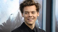 Harry Styles height, biography, age, relationships - Trends Magazine