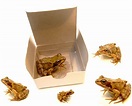 Box of frogs...we see Poppy dump the frogs into a nice gift box Frogs ...