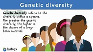 Genetic diversity Definition and Examples - Biology Online Dictionary