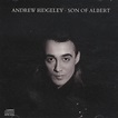 Son of Albert - Andrew Ridgeley | Songs, Reviews, Credits | AllMusic