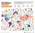 Cool Maps Reveal The Most Popular Dog Breed in Every Country - Earthly ...