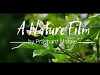 A_Nature_Film - YouTube