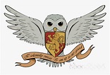Clip Art Harry Potter Owl Png - magiadeverao