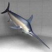 3D swordfish - TurboSquid 1151493