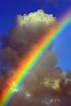 Rainbows | "Spectrum" | Rainbow sky, Rainbow, Beautiful rainbow