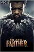 la película de Black Panther toda completa en español