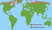 5 Nations Where Polar Bears Lives | Habitat Of Polar Bears