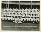 Lot Detail - 1956 New York Yankees World Series Champions Vintage Team ...