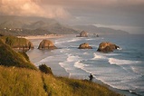 Are Dogs Allowed On Oregon Coast Beaches