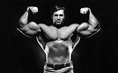 Wallpaper : men, Arnold Schwarzenegger, Bodybuilder, celebrity ...