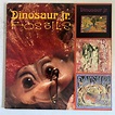 Dinosaur Jr. - Fossils (12", Comp). ROCK NEW ARRIVALS – SHOES ON A WIRE